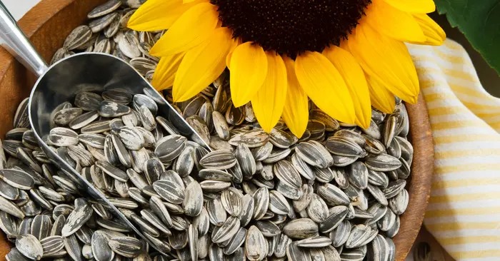 organic sunflower seeds