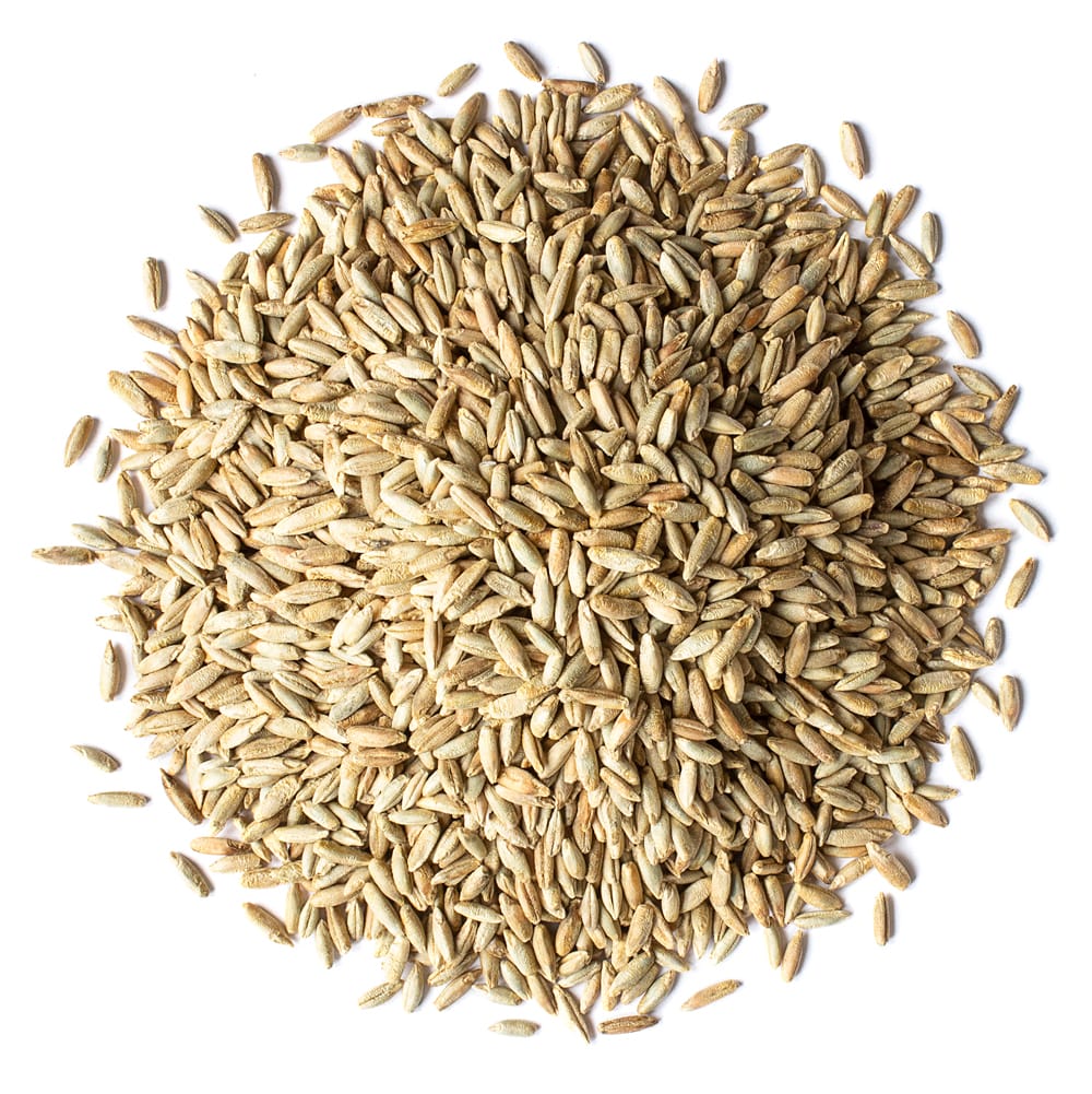 organic rye berries